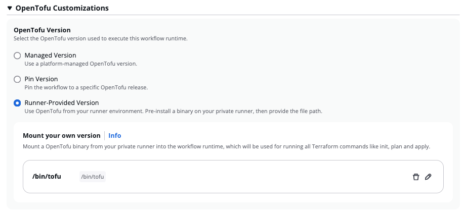 Runner-Provided Version